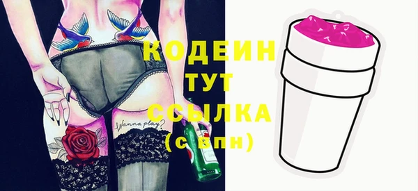 шишки Гусев