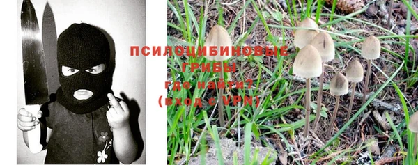 спиды Дмитровск