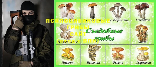 шишки Гусев