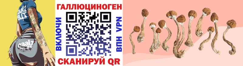 Галлюциногенные грибы GOLDEN TEACHER  Купить где  Краснотурьинск 